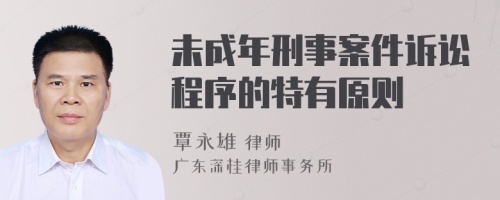 未成年刑事案件訴訟程序的特有原則