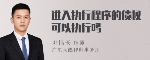 進(jìn)入執(zhí)行程序的債權(quán)可以執(zhí)行嗎