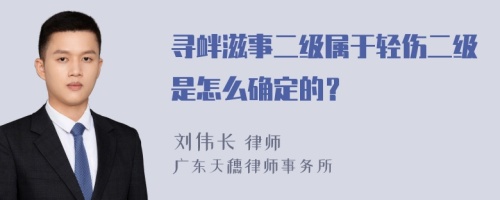 尋釁滋事二級屬于輕傷二級是怎么確定的？