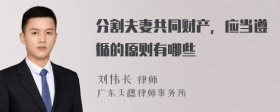 分割夫妻共同財產(chǎn)，應(yīng)當(dāng)遵循的原則有哪些