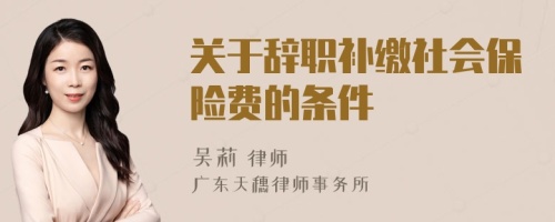 關(guān)于辭職補(bǔ)繳社會(huì)保險(xiǎn)費(fèi)的條件