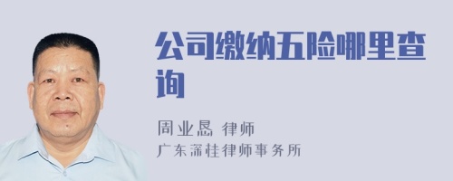 公司繳納五險(xiǎn)哪里查詢