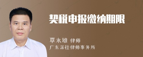 契稅申報(bào)繳納期限