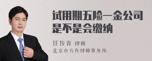 試用期五險一金公司是不是會繳納