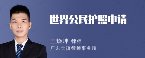 世界公民護照申請