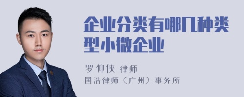 企業(yè)分類有哪幾種類型小微企業(yè)
