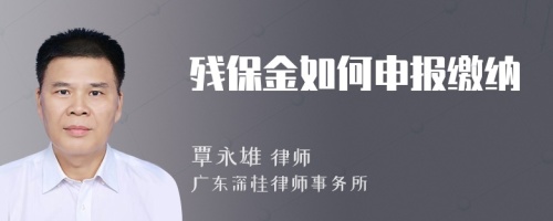 殘保金如何申報(bào)繳納