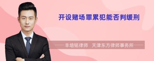開設賭場罪累犯能否判緩刑