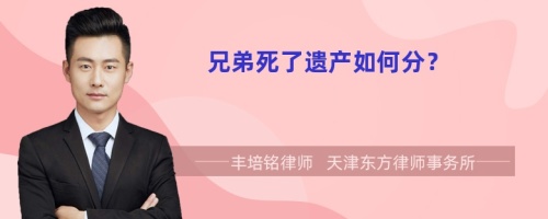 兄弟死了遺產(chǎn)如何分？