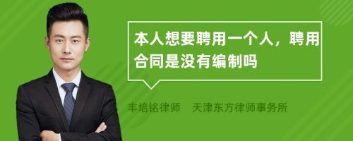 本人想要聘用一個(gè)人，聘用合同是沒有編制嗎