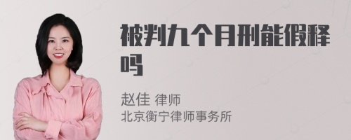被判九個(gè)月刑能假釋嗎