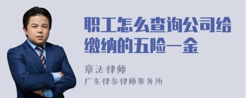 職工怎么查詢公司給繳納的五險(xiǎn)一金