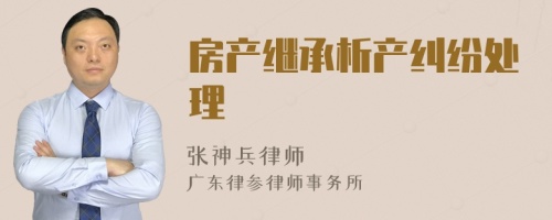 房產(chǎn)繼承析產(chǎn)糾紛處理