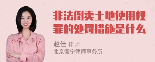 非法倒賣土地使用權(quán)罪的處罰措施是什么