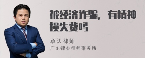 被經(jīng)濟(jì)詐騙，有精神損失費(fèi)嗎