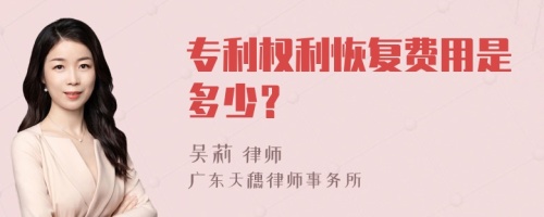 專利權(quán)利恢復(fù)費(fèi)用是多少？