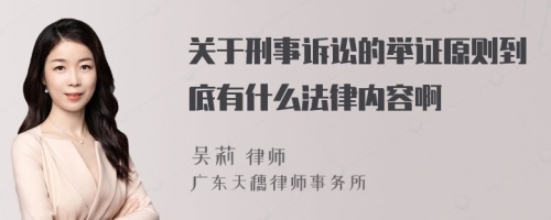 關(guān)于刑事訴訟的舉證原則到底有什么法律內(nèi)容啊