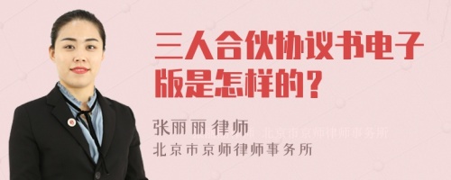三人合伙協(xié)議書電子版是怎樣的？