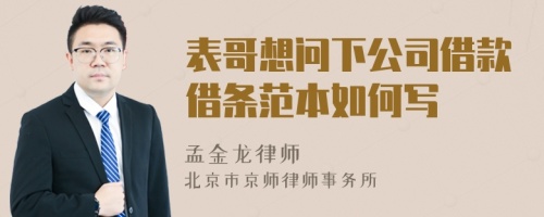 表哥想問下公司借款借條范本如何寫