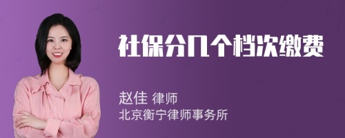 社保分幾個(gè)檔次繳費(fèi)
