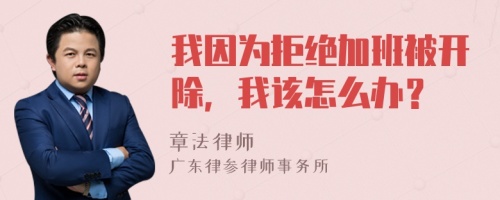 我因為拒絕加班被開除，我該怎么辦？