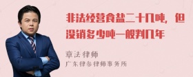 非法經(jīng)營食鹽二十幾噸，但沒銷多少噸一般判幾年
