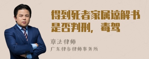 得到死者家屬諒解書是否判刑，毒駕