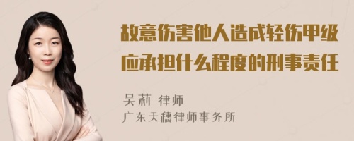 故意傷害他人造成輕傷甲級應承擔什么程度的刑事責任