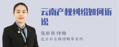 云南產(chǎn)權(quán)糾紛如何訴訟