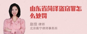 山東省菏澤盜竊罪怎么處罰