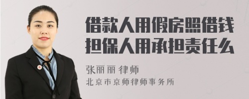 借款人用假房照借錢(qián)擔(dān)保人用承擔(dān)責(zé)任么