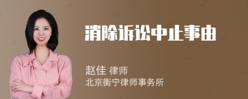 消除訴訟中止事由
