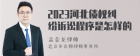 2023河北債權(quán)糾紛訴訟程序是怎樣的