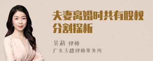 夫妻離婚時共有股權分割探析