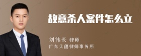 故意殺人案件怎么立