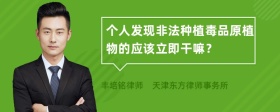 個(gè)人發(fā)現非法種植毒品原植物的應該立即干嘛？