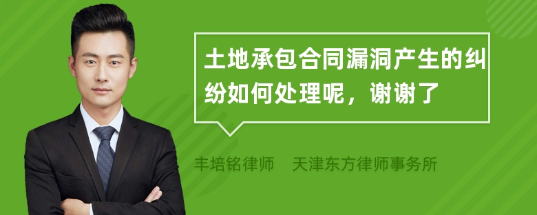 土地承包合同漏洞產生的糾紛如何處理呢，謝謝了
