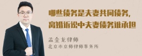 哪些債務(wù)是夫妻共同債務(wù)，離婚訴訟中夫妻債務(wù)誰承擔(dān)