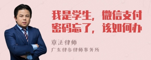我是學(xué)生，微信支付密碼忘了，該如何辦
