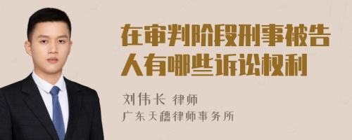 在審判階段刑事被告人有哪些訴訟權(quán)利