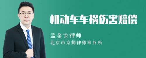 機動(dòng)車(chē)車(chē)禍傷害賠償