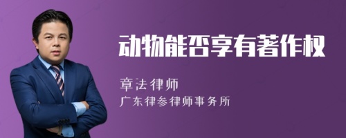 動(dòng)物能否享有著作權(quán)