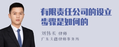 有限責(zé)任公司的設(shè)立步驟是如何的