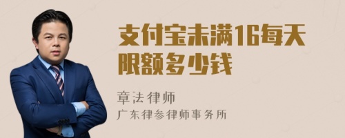 支付寶未滿16每天限額多少錢