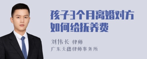 孩子3個月離婚對方如何給撫養(yǎng)費