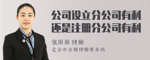 公司設(shè)立分公司有利還是注冊(cè)分公司有利