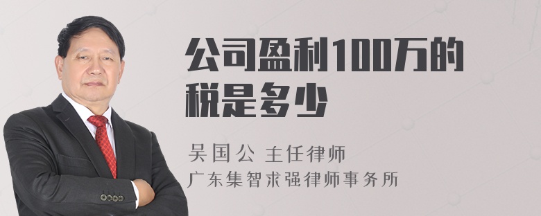 公司盈利100萬的稅是多少