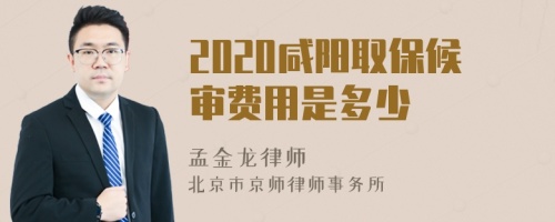 2020咸陽取保候?qū)徺M(fèi)用是多少
