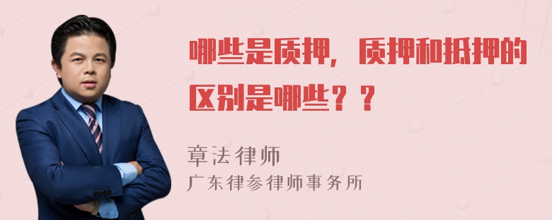 哪些是質押，質押和抵押的區(qū)別是哪些？？