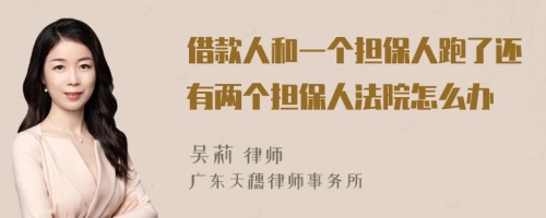借款人和一個擔(dān)保人跑了還有兩個擔(dān)保人法院怎么辦